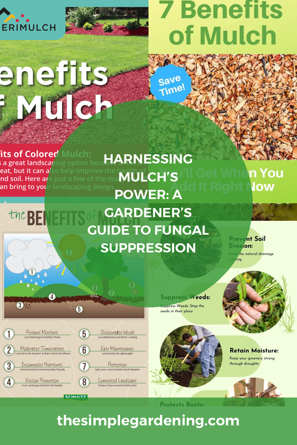 Harnessing Mulch’s Power: A Gardener’s Guide to Fungal Suppression